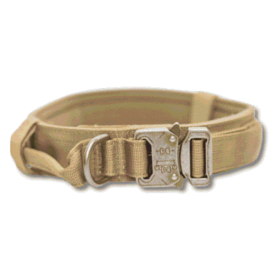 Collier pour gros chiens en nylon avec poignée Collier pour gros chiens en nylon avec poignée