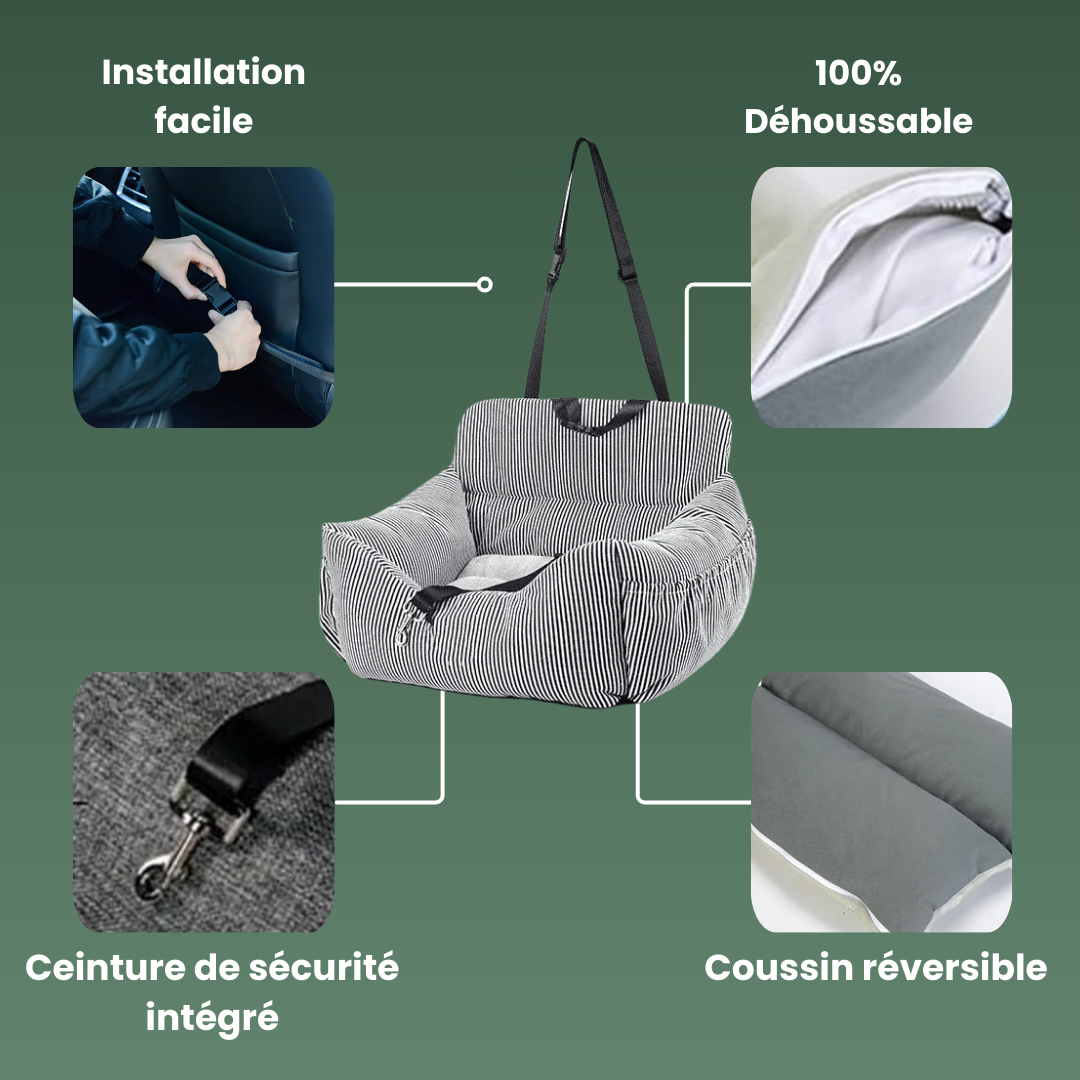 details panier voiture chien design ceinture securite