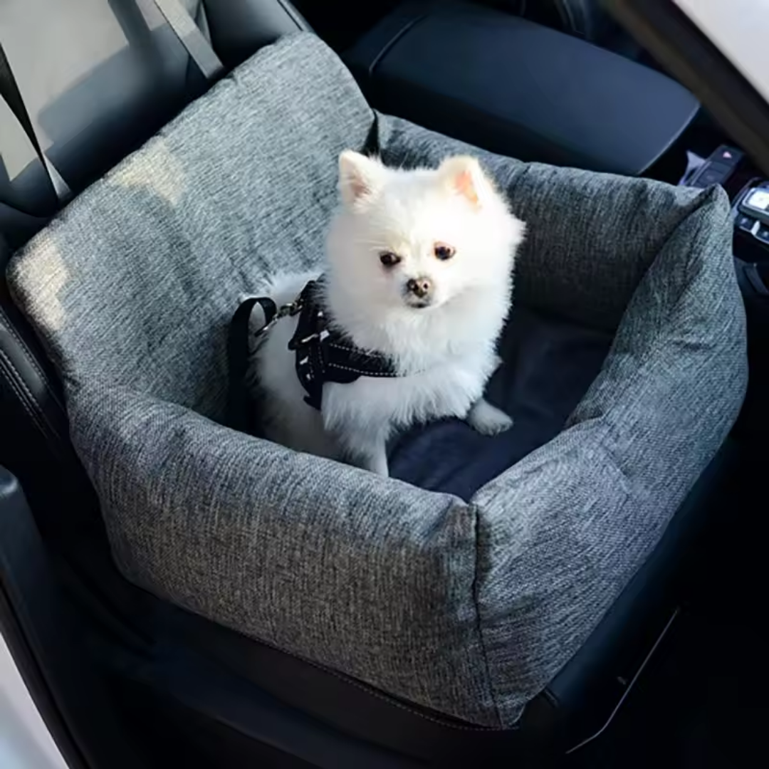 panier voiture chien design ceinture securite avec chien