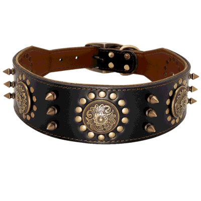 Collier pour Berger Allemand en cuir Collier pour Berger Allemand en cuir