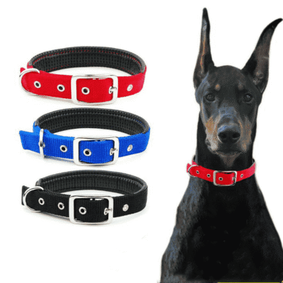 Collier pour Dobermann confortable Collier pour Dobermann confortable