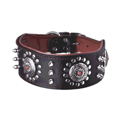 Collier pour Whippet en cuir Collier pour Whippet en cuir