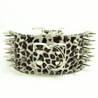 Quel taille de collier pour un chien ? Quel taille de collier pour un chien ?