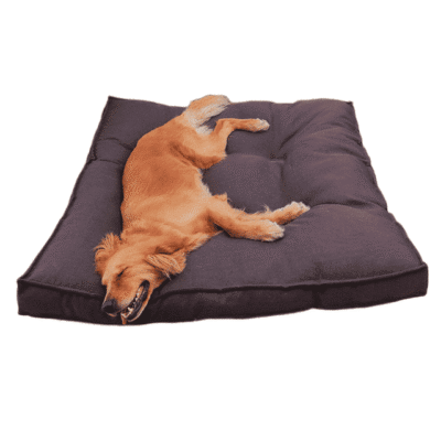 Coussin pour chien xxl dehoussable Coussin pour chien xxl dehoussable