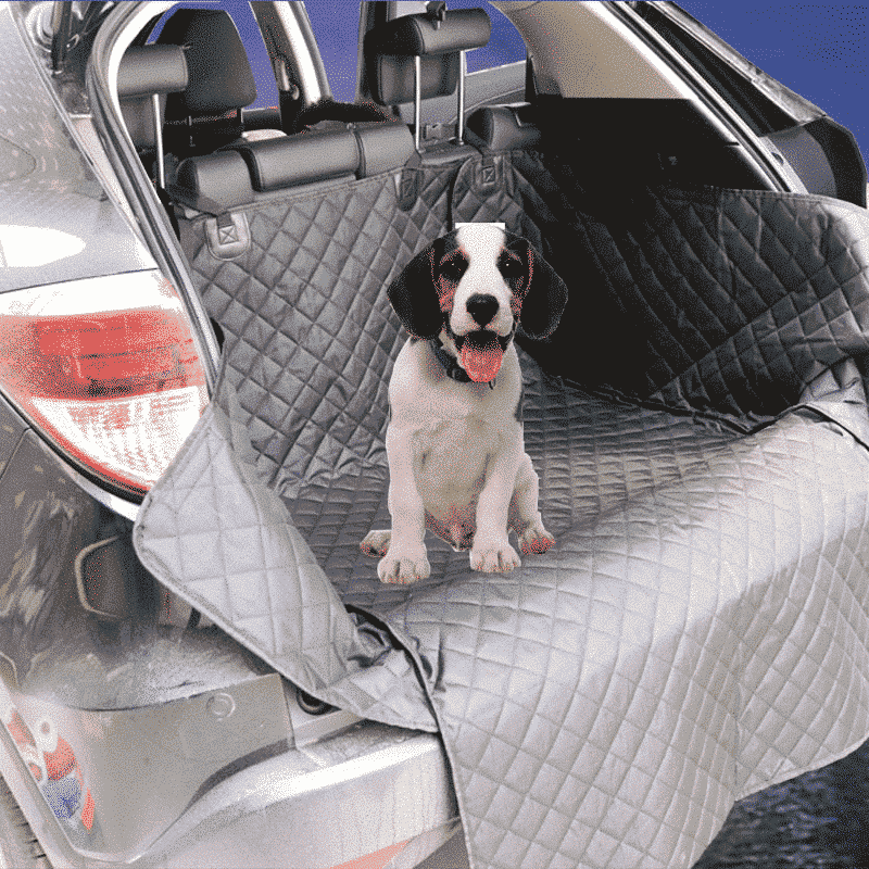Couverture chien pour coffre de voiture