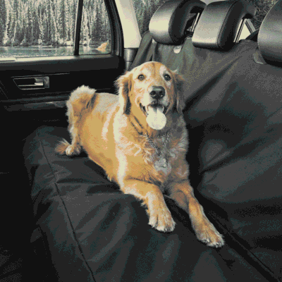 Couverture chien voiture waterproof et indestructible Couverture chien voiture waterproof et indestructible