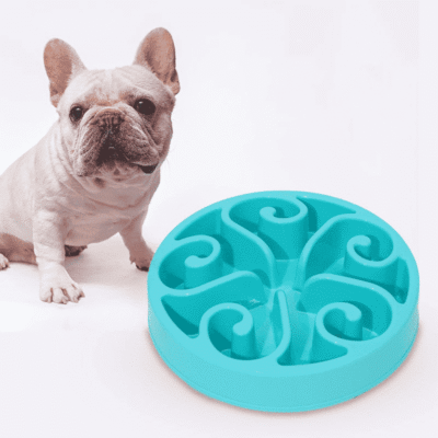 Comment choisir une gamelle anti glouton pour chien ? Comment choisir une gamelle anti glouton pour chien ?