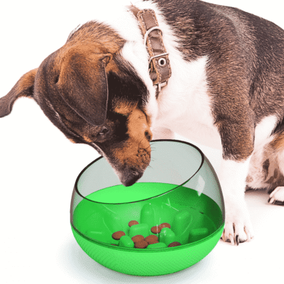Comment choisir une gamelle anti glouton pour chien ? Comment choisir une gamelle anti glouton pour chien ?