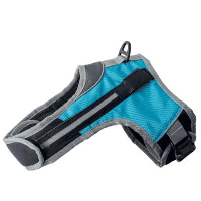 Harnais pour Basset Hound confortable Harnais pour Basset Hound confortable