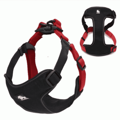 Harnais pour Border Collie ergonomique Harnais pour Border Collie ergonomique