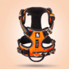 Harnais pour Bulldog Anglais ergonomique orange Harnais pour Bulldog Anglais ergonomique orange