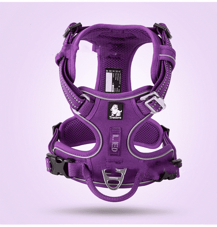 Harnais-pour-Bulldog-Anglais-ergonomique-violet