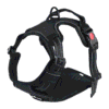 Harnais pour Cane Corso ergonomique noir Harnais pour Cane Corso ergonomique noir