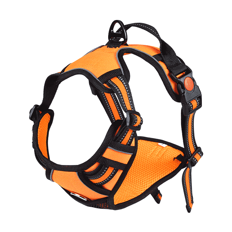 Harnais-pour-Cane-Corso-ergonomique-orange