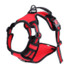 Harnais pour Cane Corso ergonomique rouge Harnais pour Cane Corso ergonomique rouge
