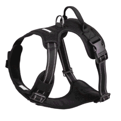 Harnais pour Dogue de Bordeaux confortable Harnais pour Dogue de Bordeaux confortable