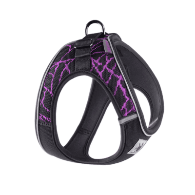 Harnais pour Teckel ergonomique Harnais pour Teckel ergonomique