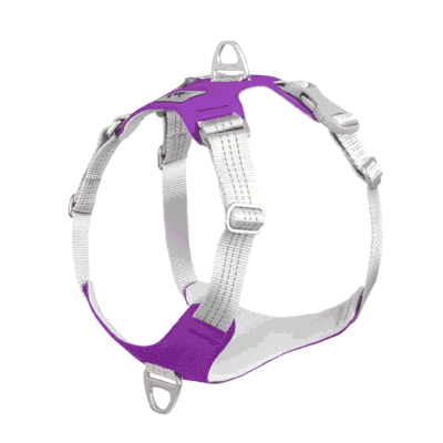 Harnais pour gros chien réfléchissant Harnais pour gros chien réfléchissant