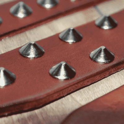 Quel taille de collier pour un chien ? Quel taille de collier pour un chien ?