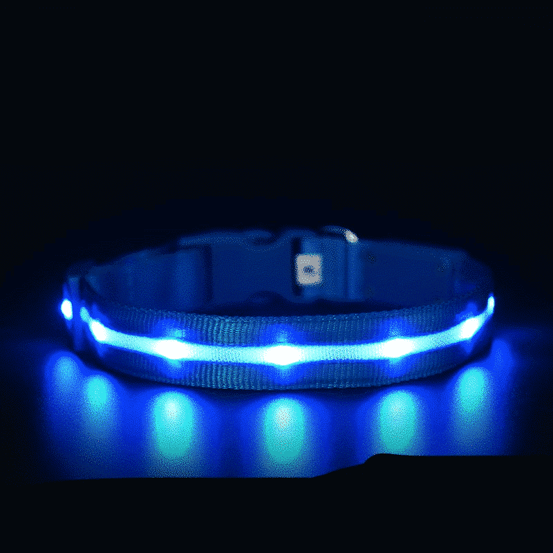 Colliet-lumineux-pour-chien-chargement-USB-bleu