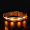 collier lumineux pour chien chargement usb orange collier lumineux pour chien chargement usb orange