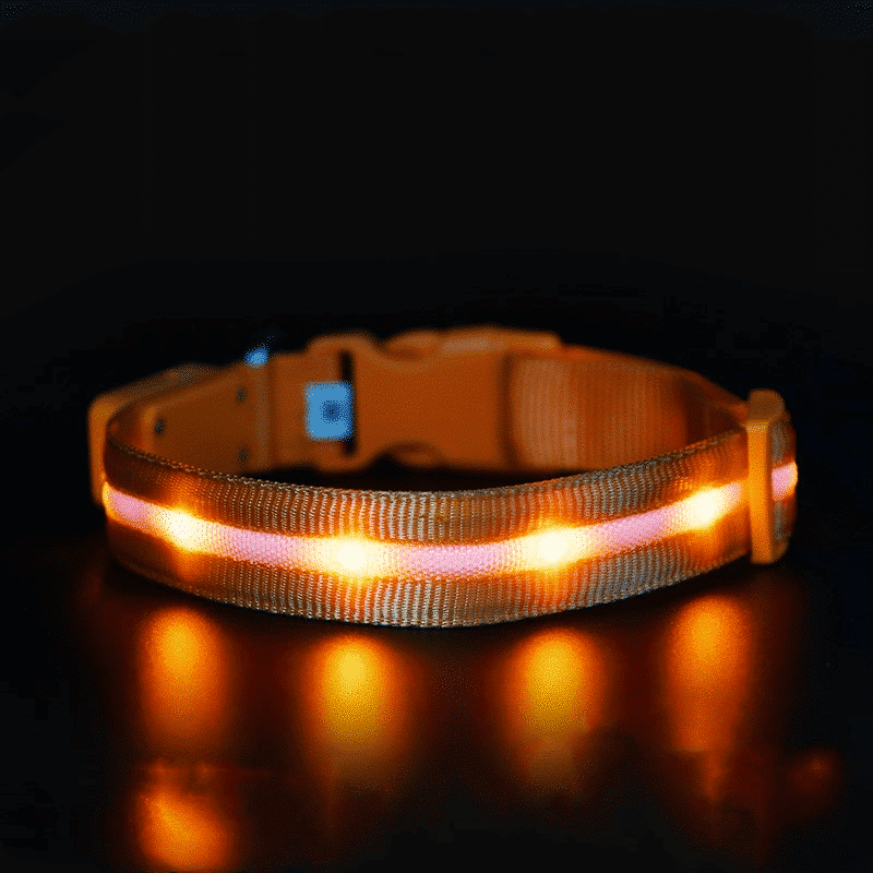 Colliet-lumineux-pour-chien-chargement-USB-orange
