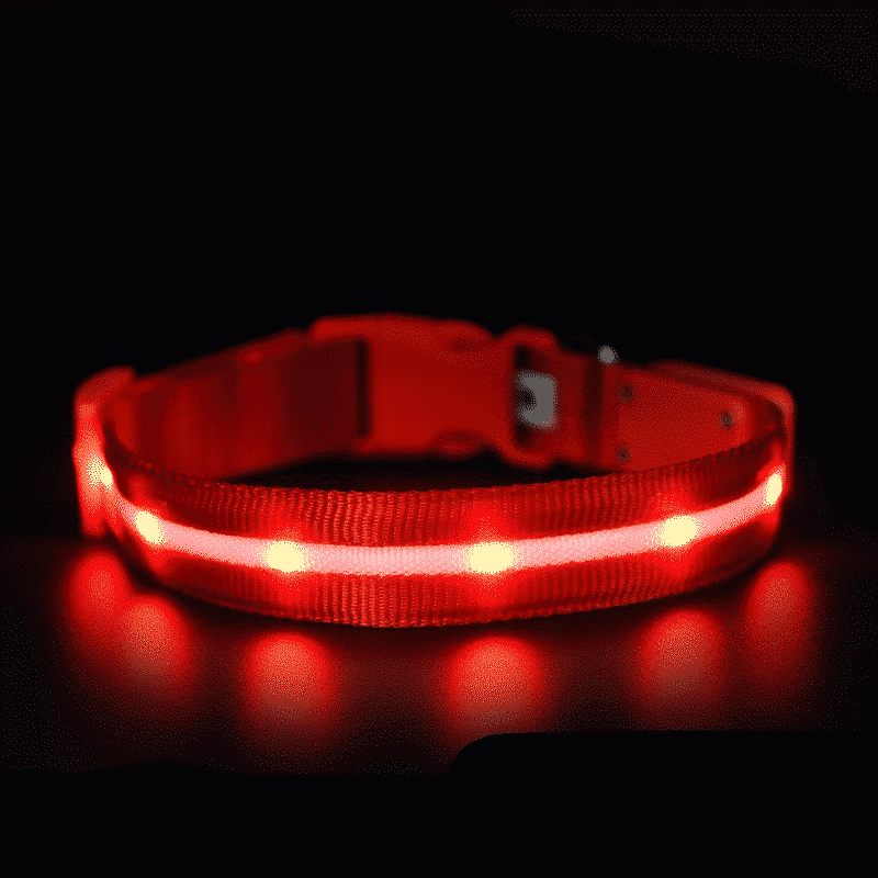 Colliet-lumineux-pour-chien-chargement-USB-rouge
