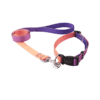 collier pour chien rose collier pour chien rose