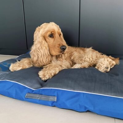 Coussin pour chien indestructible et imperméable en tissu Oxford Coussin pour chien indestructible et imperméable en tissu Oxford