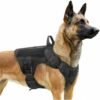 harnais militaire pour malinois harnais militaire pour malinois