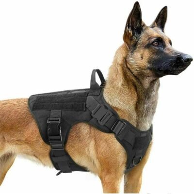Harnais militaire pour Malinois Harnais militaire pour Malinois