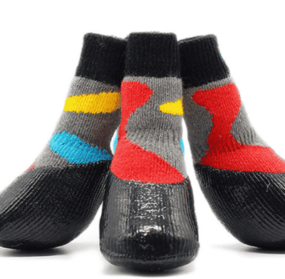 Habits Chien Habits Chien