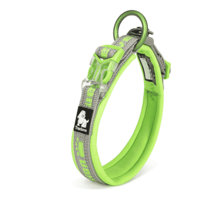 Pourquoi ne pas mettre un harnais à un chiot ? Pourquoi ne pas mettre un harnais à un chiot ?