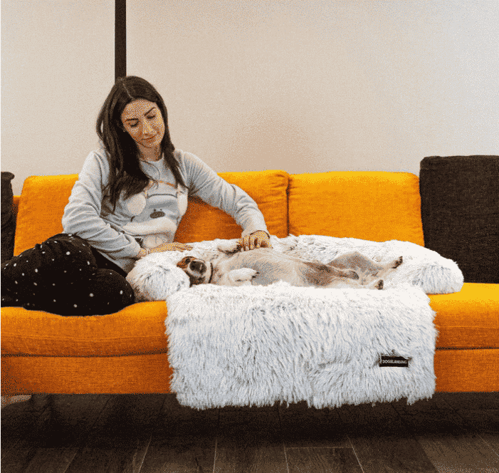 Coussin canapé pour chien anti stress