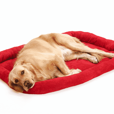 Coussin pour gros chien en velours Coussin pour gros chien en velours