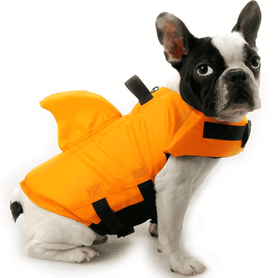 Gilet de sauvetage pour chien aille de requin Gilet de sauvetage pour chien aille de requin