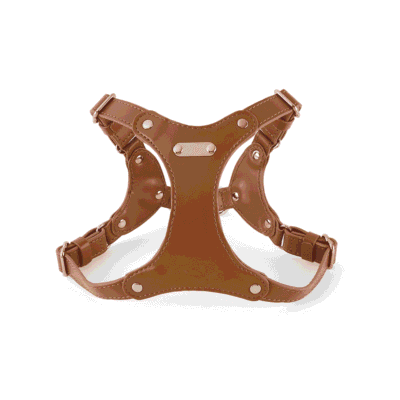 Harnais en cuir pour petit chien Harnais en cuir pour petit chien