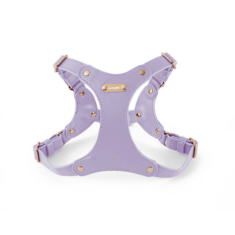 Harnais-cuir-violet