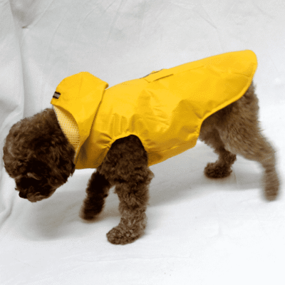 K way léger pour chien K way léger pour chien