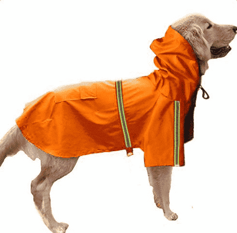 K-way-réfléchissant-chien-orange