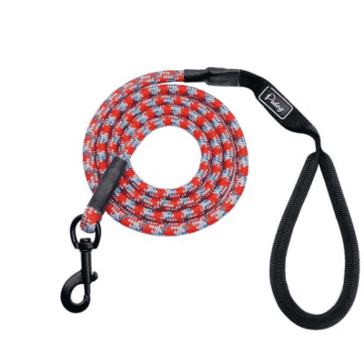 Laisse confortable et résistante pour grand chien Laisse confortable et résistante pour grand chien