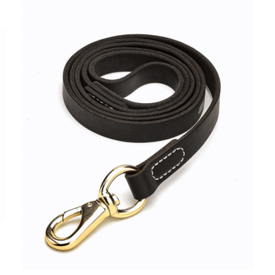 Laisse en cuir pour chien Laisse en cuir pour chien