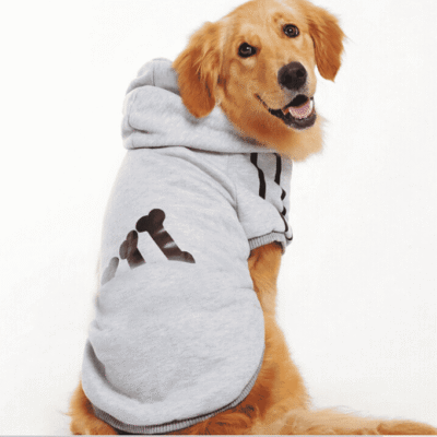 Pull pour chien style sportswear Pull pour chien style sportswear
