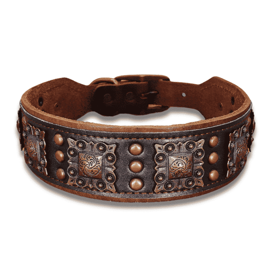 Collier pour grand chien à rivets en cuir