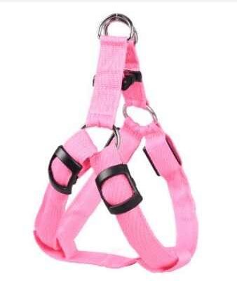 Harnais lumineux pour petit chien Harnais lumineux pour petit chien