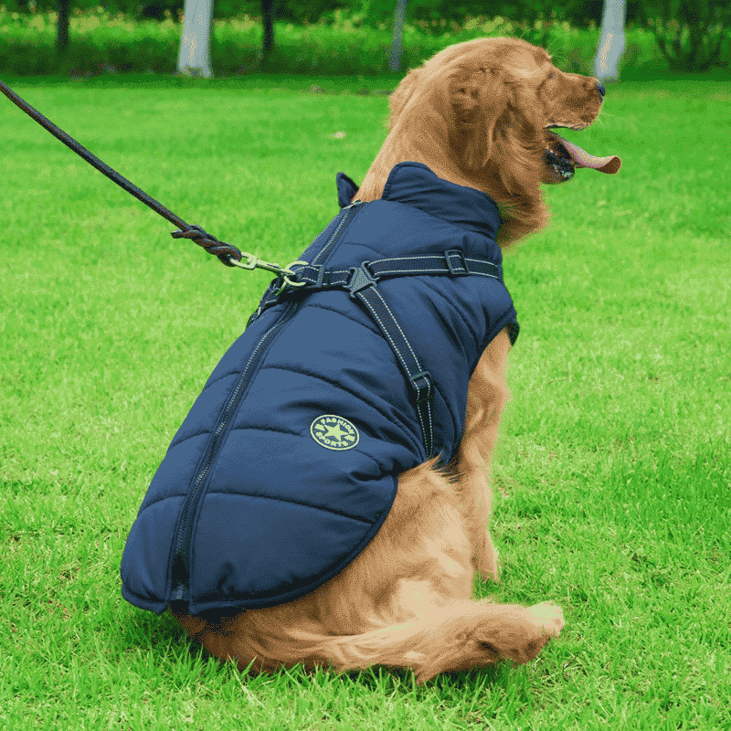 Manteau pour chien avec harnais intégré