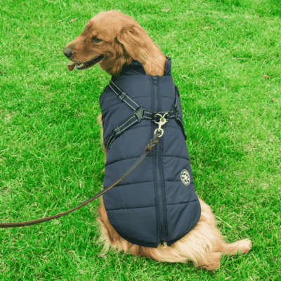 Manteau pour chien avec harnais intégré Manteau pour chien avec harnais intégré