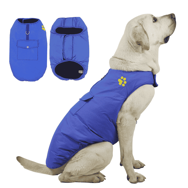 Manteau waterproof pour chien