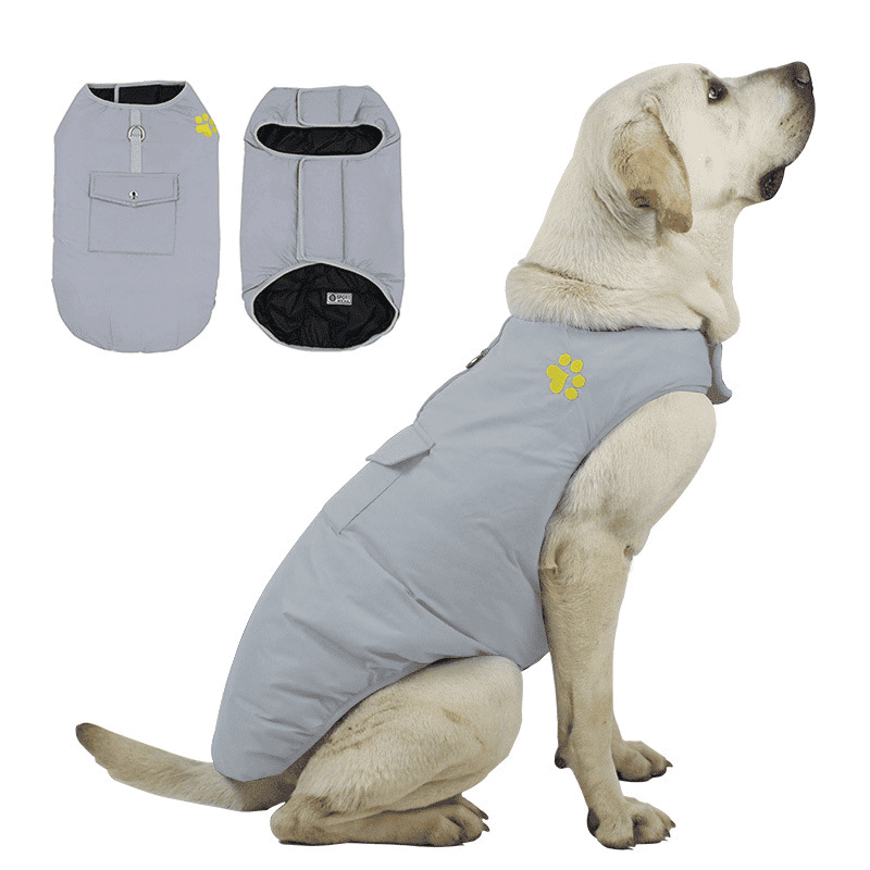 Manteau-waterproof-chien-gris