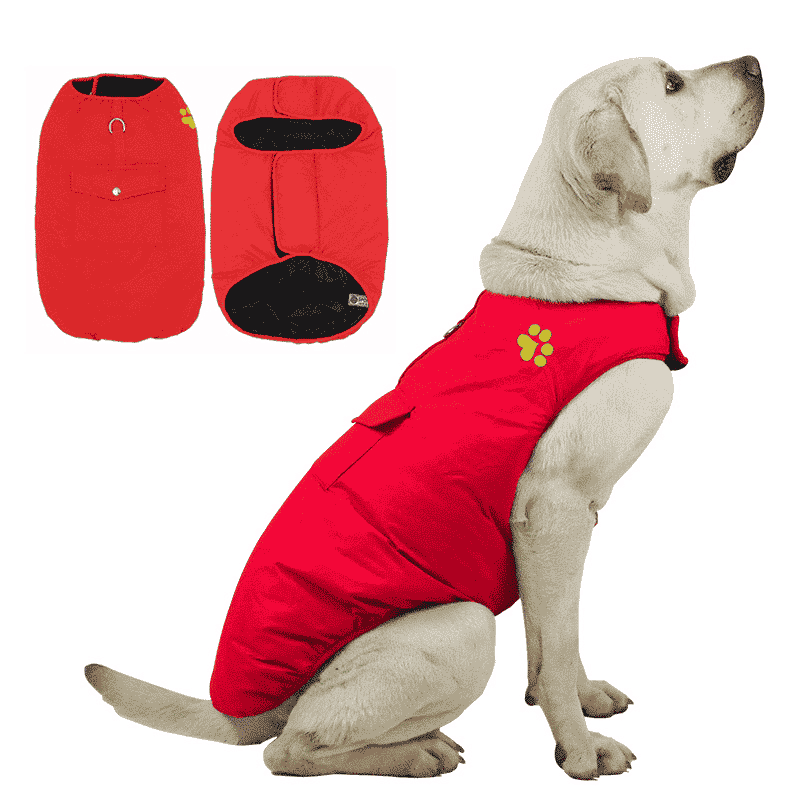 Manteau-waterproof-chien-rouge
